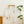 Load image into Gallery viewer, Bruno 輕便2合1手提吸塵機
