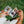 Load image into Gallery viewer, Polaroid Go 口袋相簿