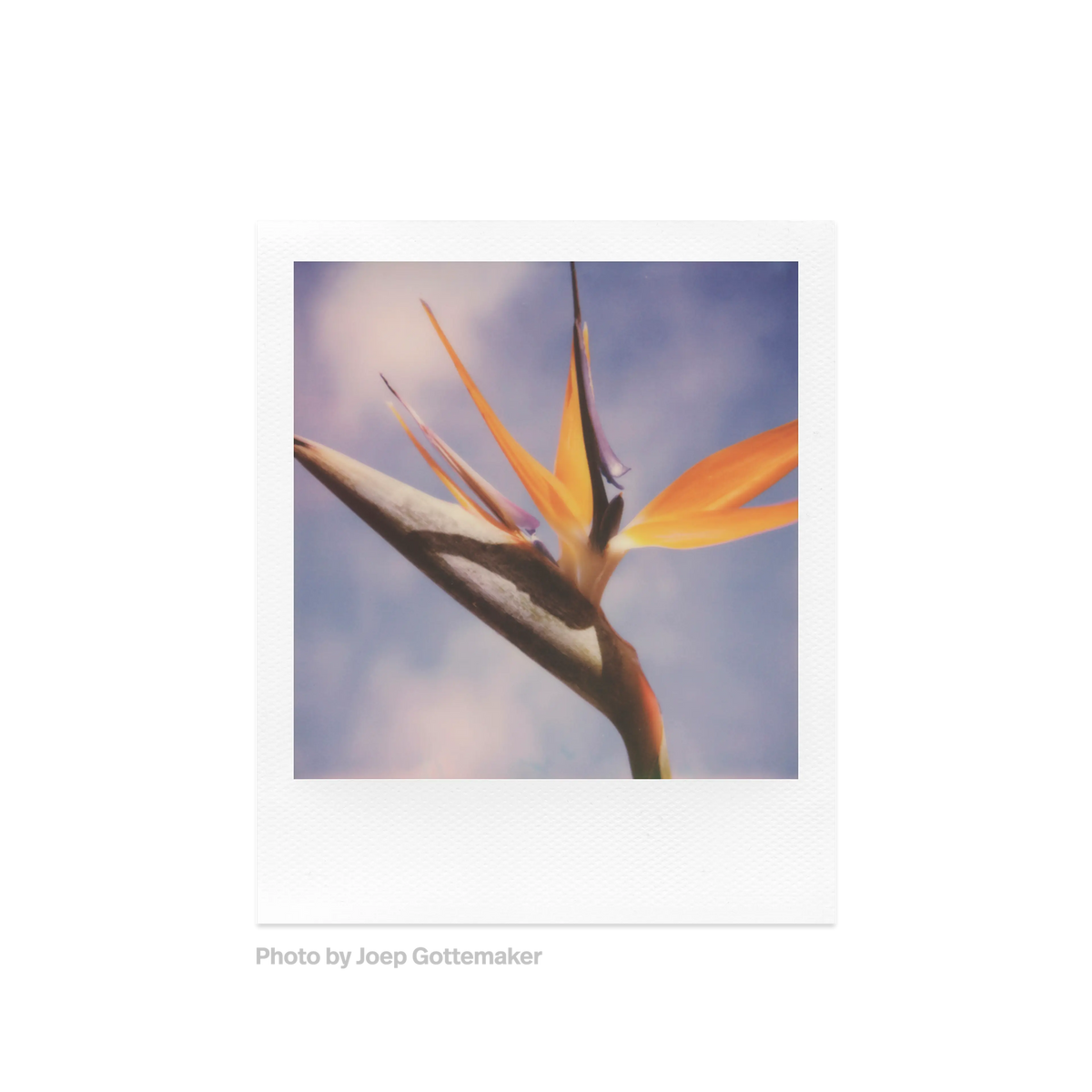 Polaroid Color SX-70 Film – Paul Giambarba Edition – product view 4
