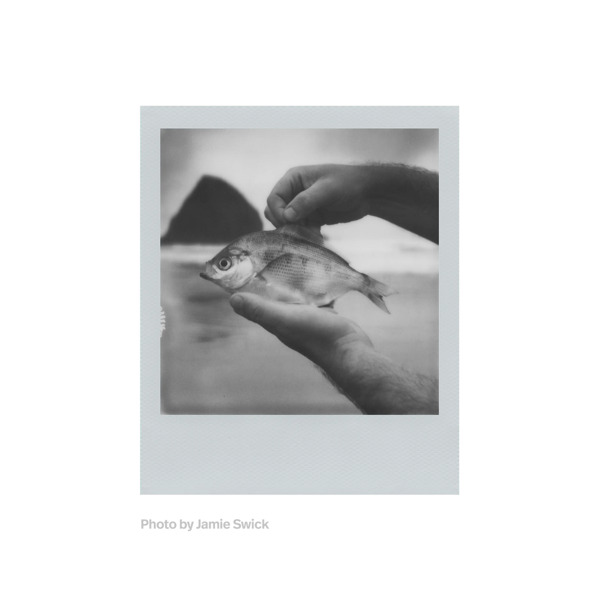 Polaroid B&W 600 Film – Monochrome Frames – product view 4