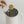 Load image into Gallery viewer, BRUNO BAK806 熱湯豆漿機產品圖 2
