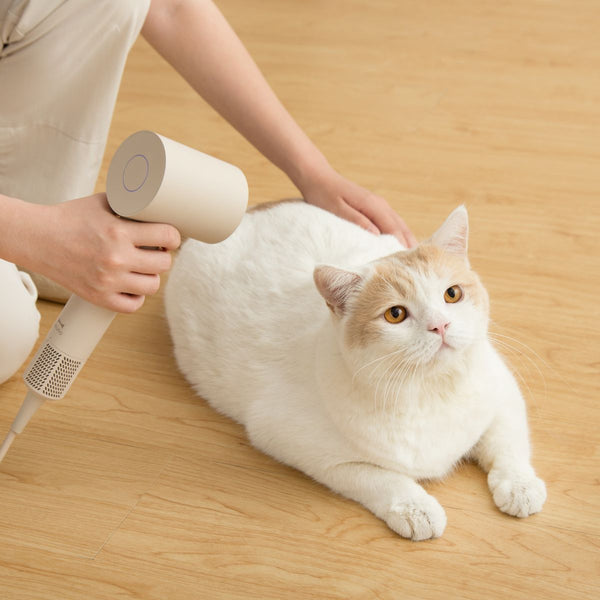 BRUNO BAK811 hair dryer with gentle airflow for pet drying