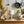Load image into Gallery viewer, BRUNO Glass Air Fryer BOE122 product image

